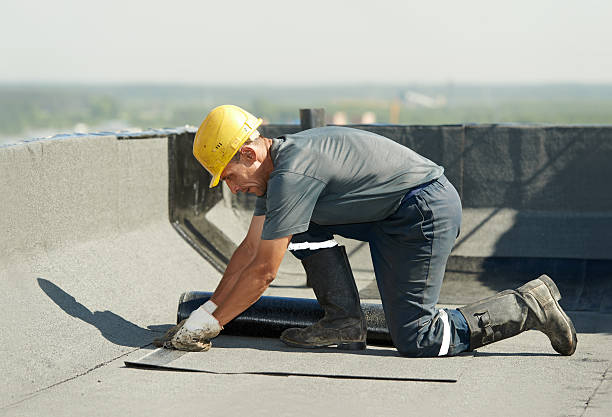 Best Specialized Insulation Services in East Orange, NJ
